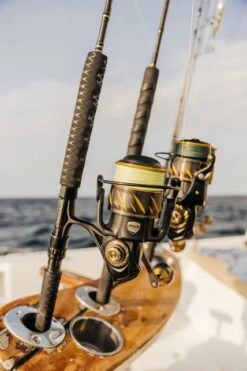 Penn Sale PENN - Authority® Spinning 11 Penn Sale PENN - Authority® Spinning -Penn penn authority spinning 2