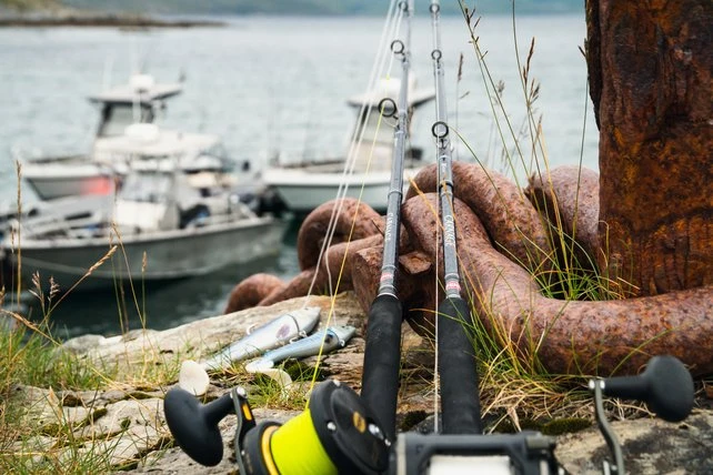 Penn Sale PENN - Carnage Popping 4 Penn Sale PENN - Carnage Popping - Afbeelding 2