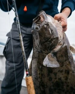 Penn Sale PENN - Regiment III Pro Boat -Penn penn regiment iii pro boat 5